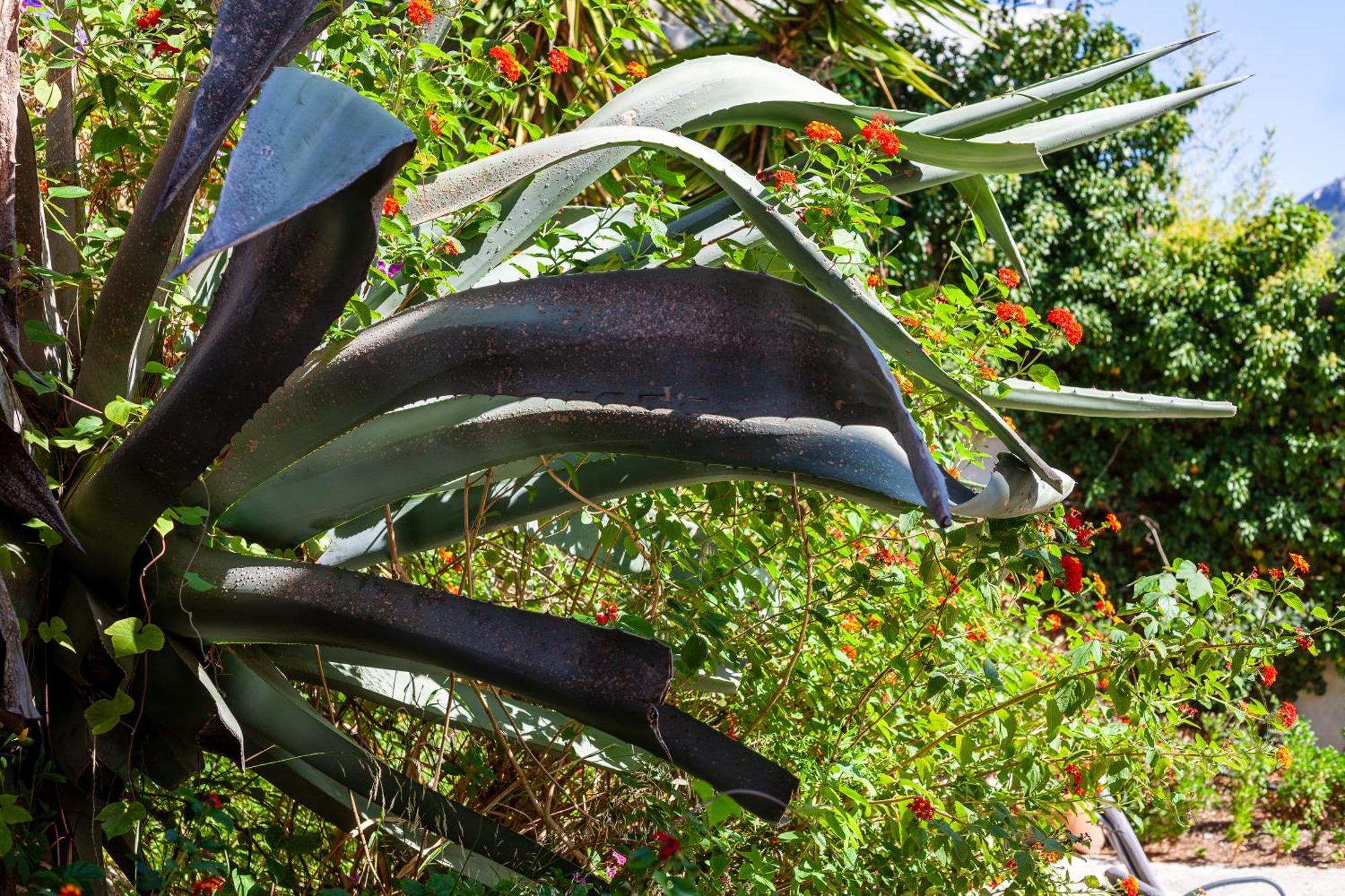 Somptueux Appartement Avec Jardin Cassis Exteriér fotografie