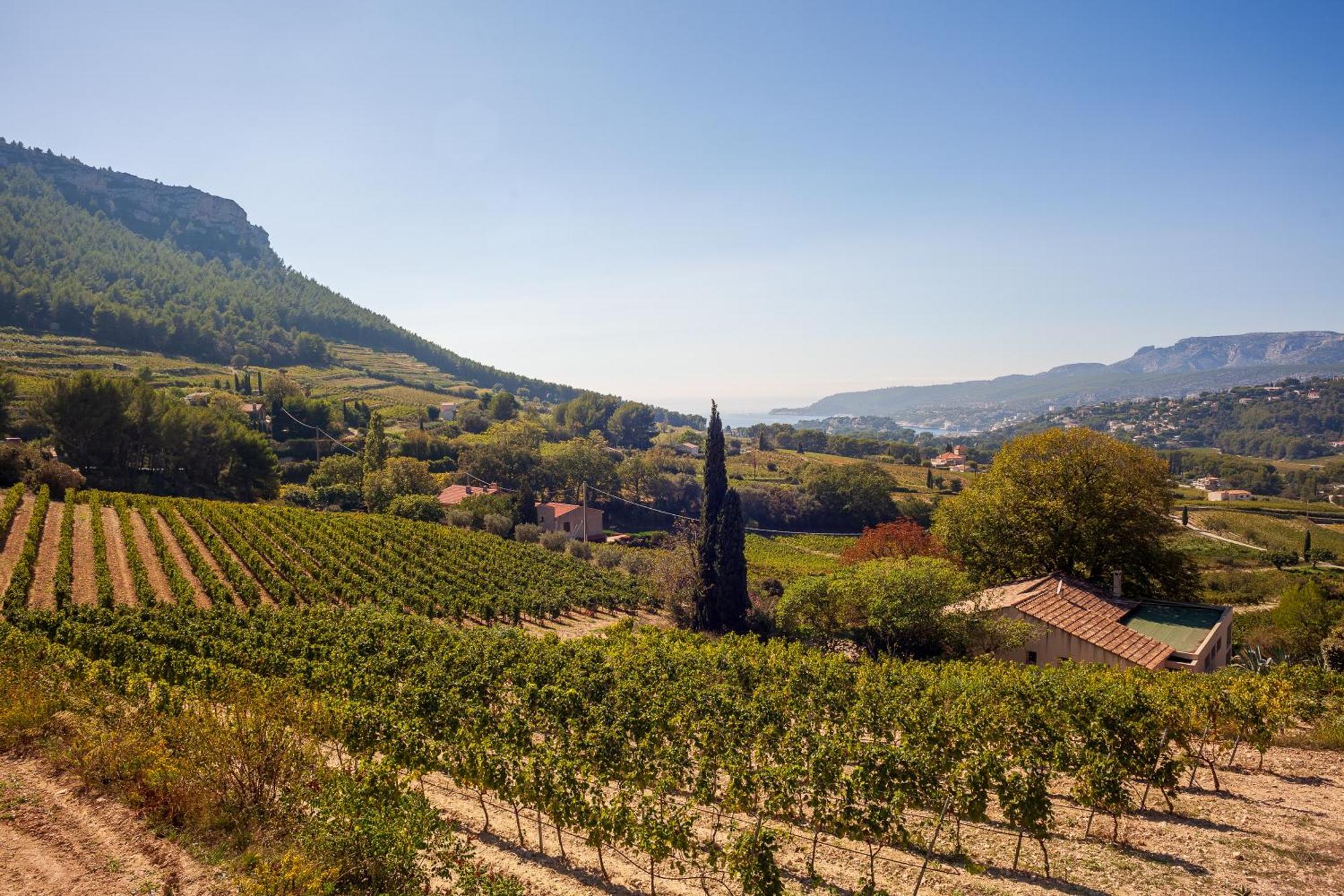Somptueux Appartement Avec Jardin Cassis Exteriér fotografie